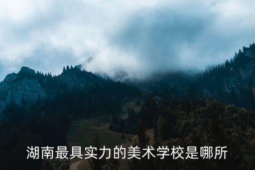 湖南最具实力的美术学校是哪所