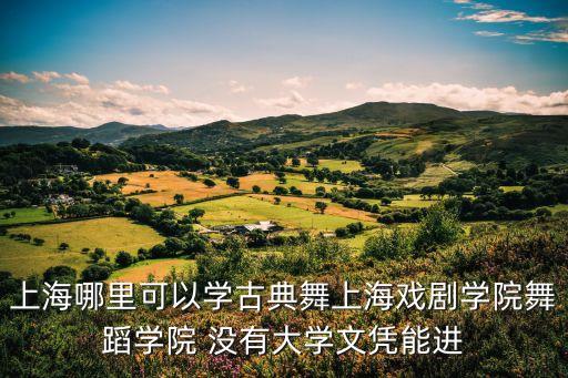 上海哪里可以学古典舞上海戏剧学院舞蹈学院 没有大学文凭能进