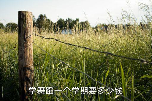 学舞蹈一个学期要多少钱
