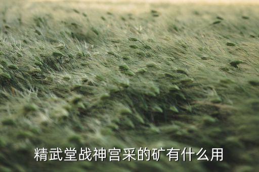 精武堂战神宫采的矿有什么用
