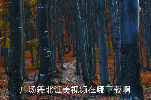 广场舞北江美视频在哪下载啊