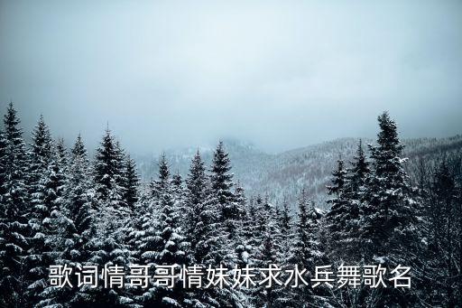歌词情哥哥情妹妹求水兵舞歌名