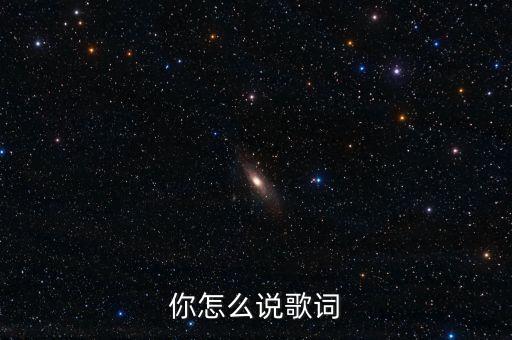 你怎么说歌词