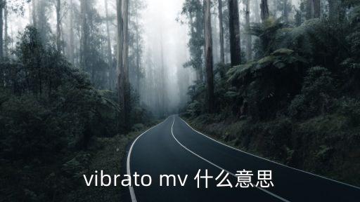 vibrato mv 什么意思