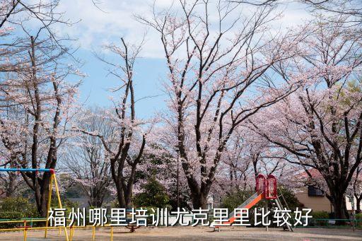 福州哪里培训尤克里里比较好