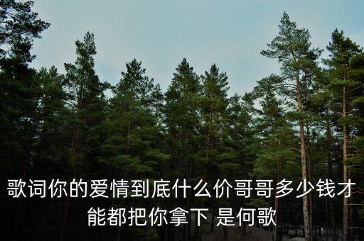 广场舞歌曲爱情什么价，搜歌曲爱情什么价