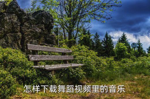 网络神曲舞蹈视频怎么下载，我想下载舞曲视频怎么下载