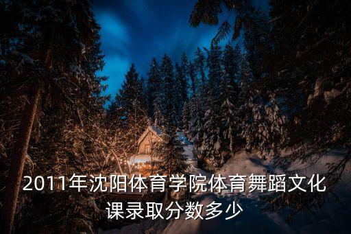 2011年沈阳体育学院体育舞蹈文化课录取分数多少