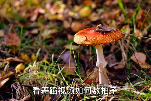 看舞蹈视频如何数拍子