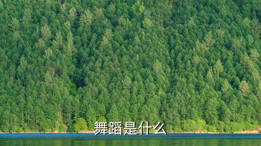 舞蹈是什么