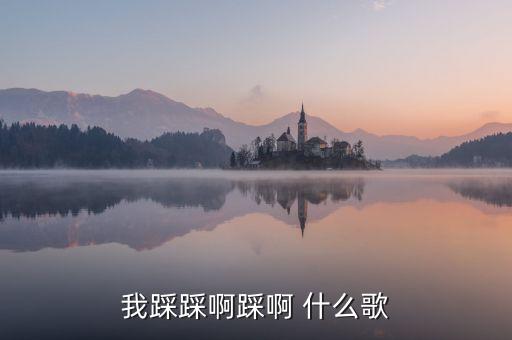 踩踩踩的歌是什么，我踩踩啊踩啊 什么歌