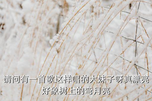 请问有一首歌这样唱的大妹子呀真漂亮好象树上的弯月亮