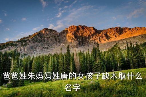 爸爸姓朱妈妈姓唐的女孩子缺木取什么名字