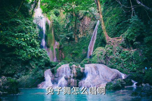 兔子舞怎么唱啊