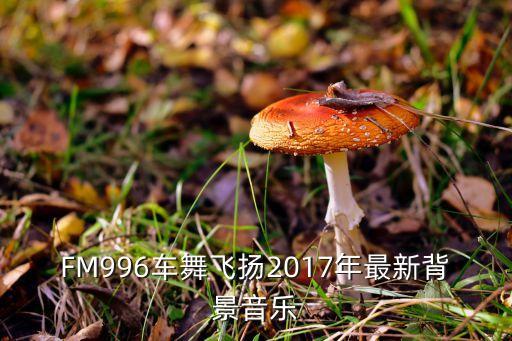FM996车舞飞扬2017年最新背景音乐