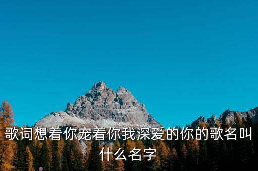 歌词想着你宠着你我深爱的你的歌名叫什么名字