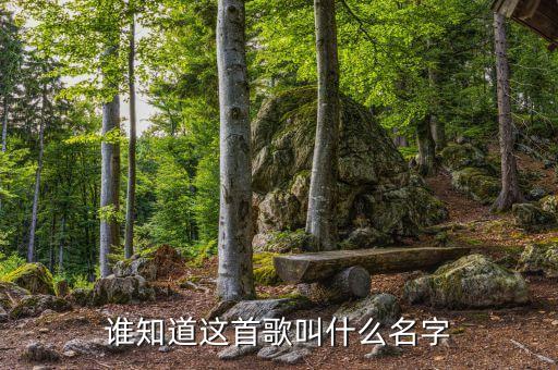 谁知道这首歌叫什么名字