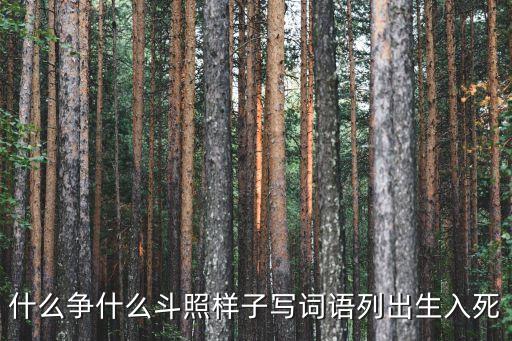 蝶依广场舞你争什么争，争什么争 听听吧句句都是大实话