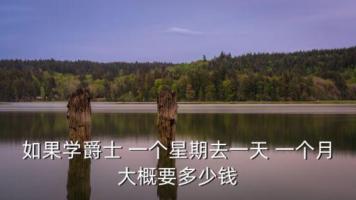 如果学爵士 一个星期去一天 一个月大概要多少钱