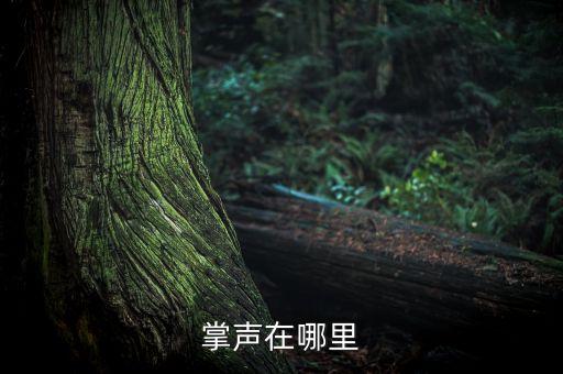 掌声在哪里