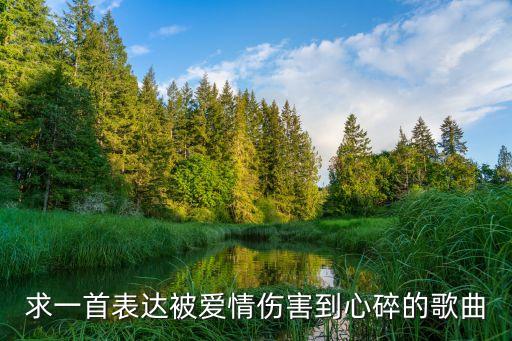 求一首表达被爱情伤害到心碎的歌曲