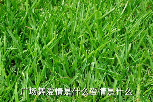 广场舞爱情是什么爱情是什么