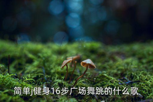 广场舞十六步16步视频，广场舞最炫民族风16步在哪能找到