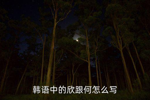 韩语中的欣跟何怎么写