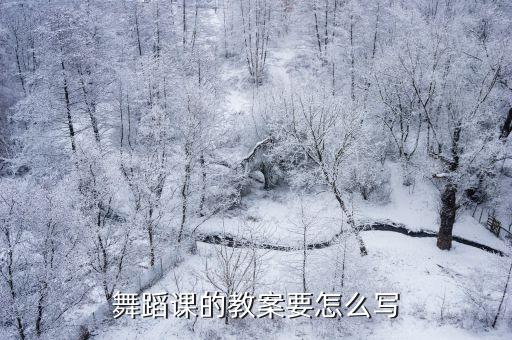 舞蹈课的教案要怎么写