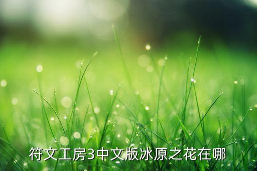 神彩广场舞雪莲花是什么版本，符文工房3中文版冰原之花在哪