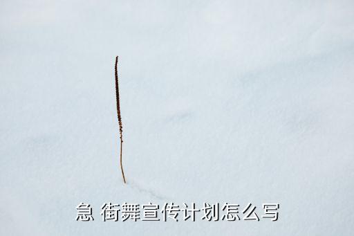急 街舞宣传计划怎么写
