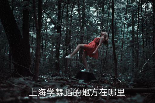 上海舞蹈地址在哪里，请问上海哪里有学舞蹈的地方