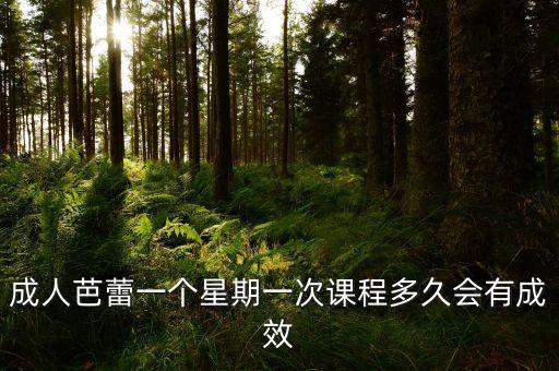 成人芭蕾一个星期一次课程多久会有成效