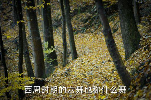 等舞是什么舞，郑秀晶跳抽等舞是哪个节目