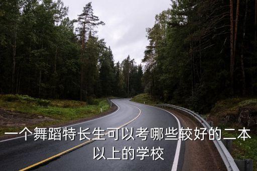 一个舞蹈特长生可以考哪些较好的二本以上的学校