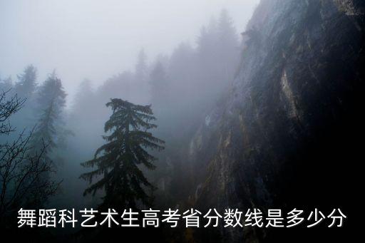 河南2021舞蹈艺考生分数线，河南省艺考分数线分专科和本科线吗