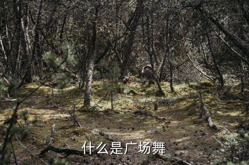 什么是广场舞