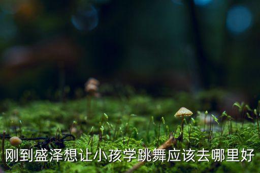 刚到盛泽想让小孩学跳舞应该去哪里好