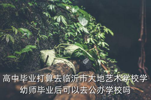 高中毕业打算去临沂市大地艺术学校学幼师毕业后可以去公办学校吗