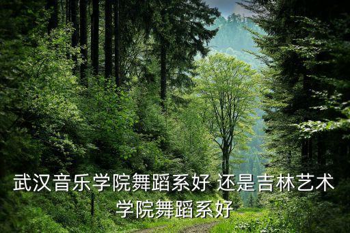 吉林艺术学院音乐与舞蹈学，吉林艺术学院艺术系算一本还是二本啊