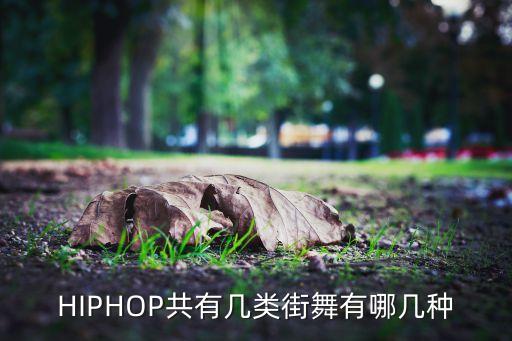 HIPHOP共有几类街舞有哪几种