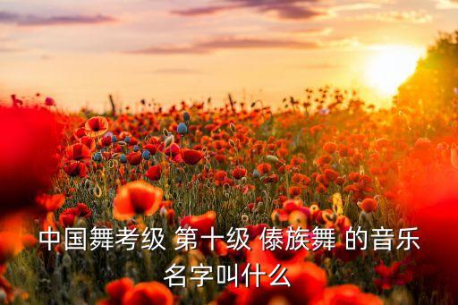 中国舞考级 第十级 傣族舞 的音乐名字叫什么