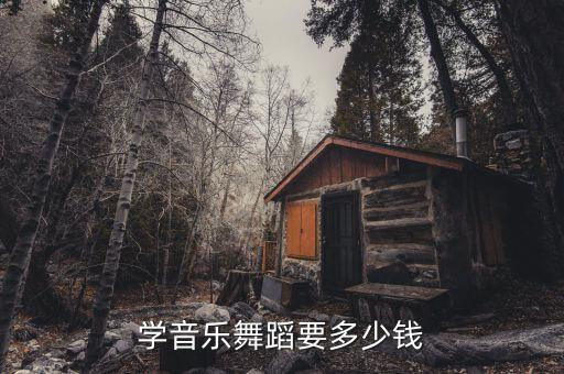 学音乐舞蹈要多少钱