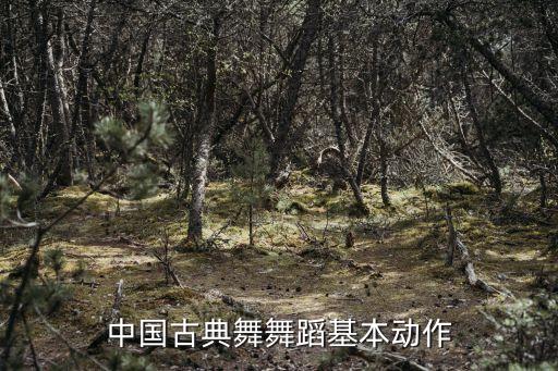 中国古典舞舞蹈基本动作