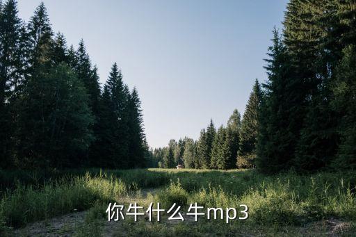你牛什么牛mp3