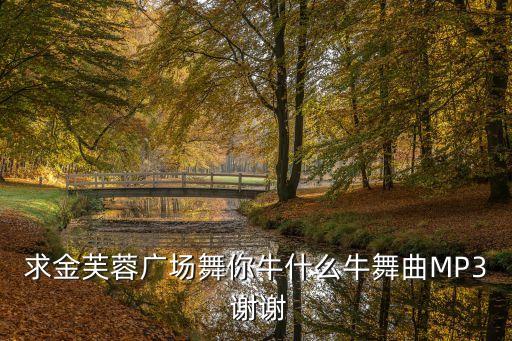 求金芙蓉广场舞你牛什么牛舞曲MP3 谢谢