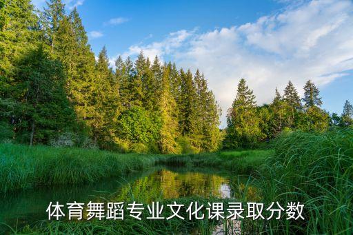 体育舞蹈专业文化课录取分数
