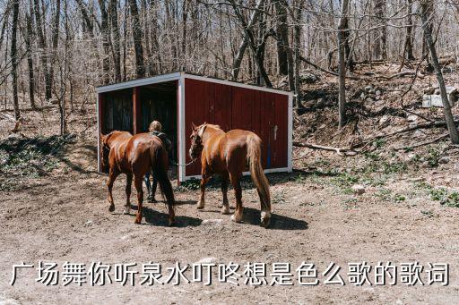你再哪里广场舞，脑筋急转弯市里女人最多的地方在哪里