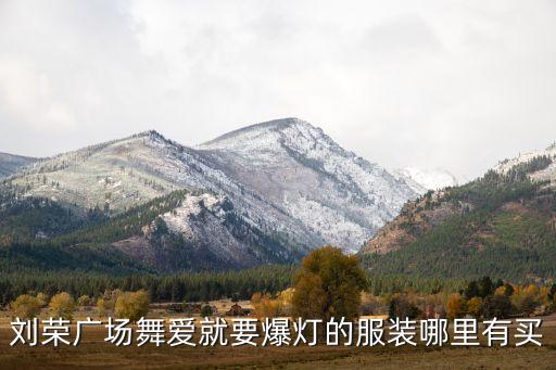 刘荣广场舞爱是什么，怎样下载刘荣舞动中国mp3