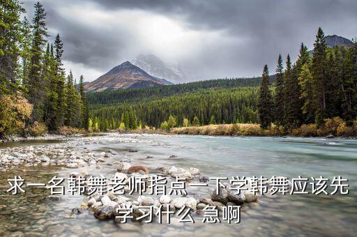 全盛舞蹈工作室，求一名韩舞老师指点一下学韩舞应该先学习什么 急啊